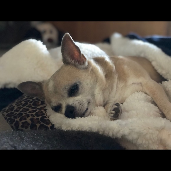 Meet your Posher, Monique - Picture 1 of 1